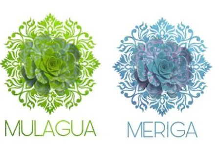 Meriga * Agulo