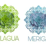 Meriga * Agulo