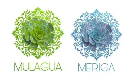 Meriga * Agulo